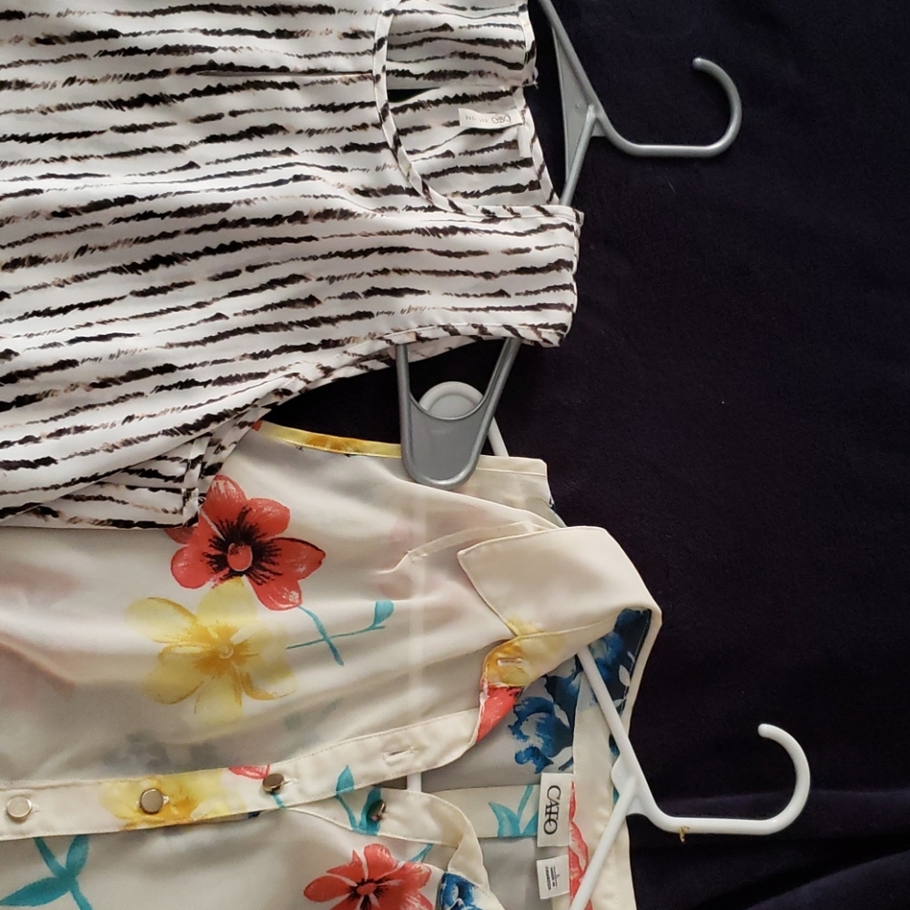 Two sleeveless blouses